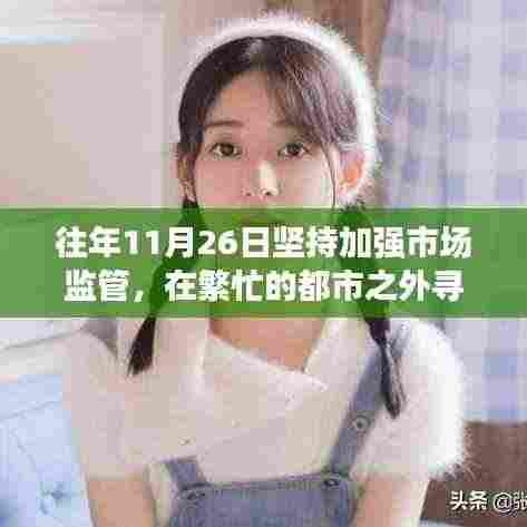 繁忙都市中的市场监管与心灵邂逅自然美景之旅，11月26日的宁静探索