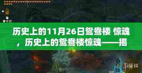 揭秘历史上的鸳鸯楼惊魂,惊魂时刻背后的秘密档案回顾(11月26日)