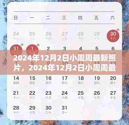 小周周最新照片引发公众视线与个人观点热议