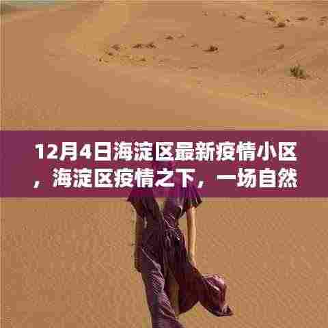 海淀区最新疫情小区下的自然美景治愈之旅