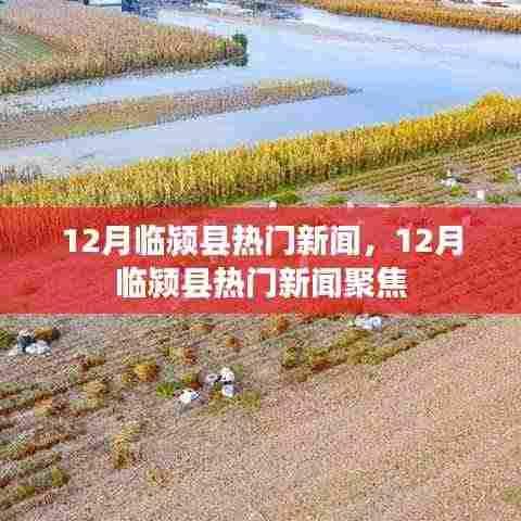 临颍县十二月热门新闻聚焦