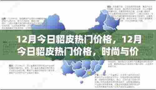 12月貂皮热门价格,时尚与价值交汇的最新动态