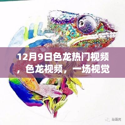 建议,揭秘色龙视频背后的真相,视觉盛宴还是涉黄问题?