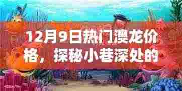 独家揭秘，12月9日澳龙价格走势，探寻小巷深处的海鲜宝藏