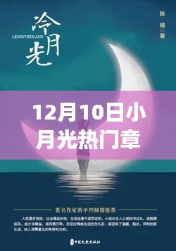 深度解析,小月光热门章节争议与影响