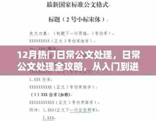 日常公文处理全攻略,从入门到进阶的实用指南(12月版)