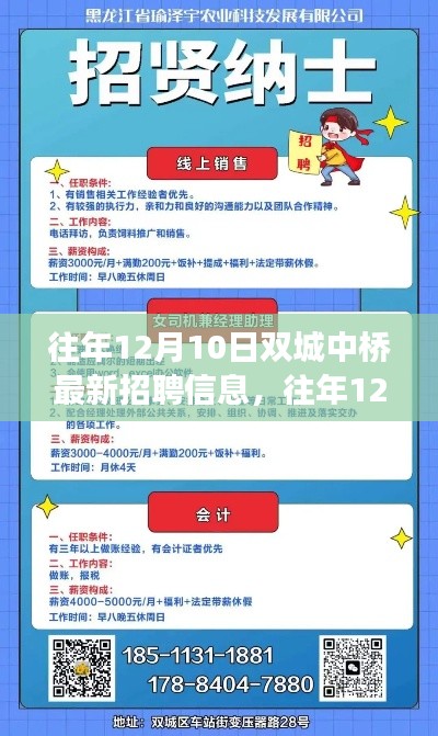 双城最新招聘资讯,往年12月10日中桥招聘信息汇总与解读
