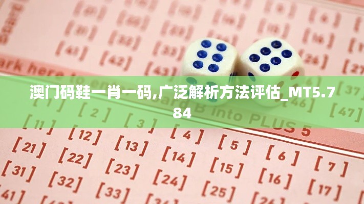 澳门码鞋一肖一码,广泛解析方法评估_MT5.784