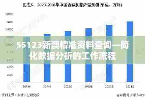 55123新澳精准资料查询—简化数据分析的工作流程