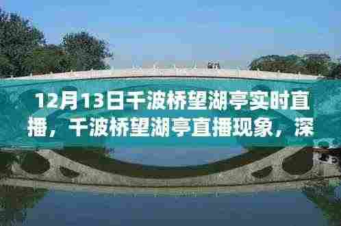 千波桥望湖亭直播现象深度解析与观点阐述,实时直播体验分享