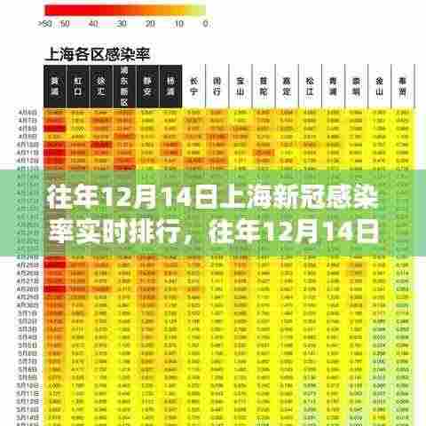往年12月14日上海新冠感染率实时排行深度解析与观察报告