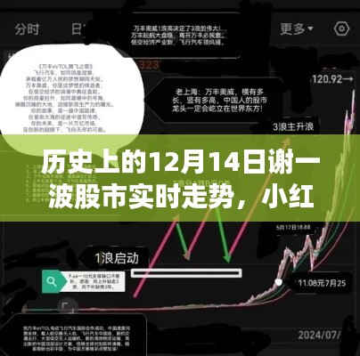 小红书风格揭秘,历史上的12月14日股市实时走势回顾