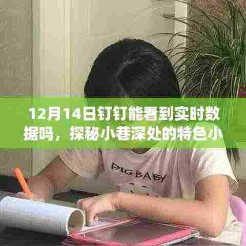 探秘小巷深处的特色小店,钉钉实时数据带你开启奇遇之旅!