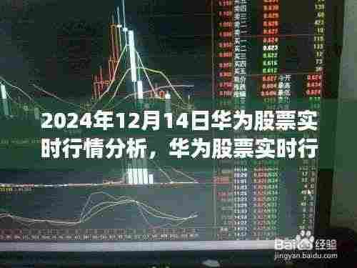 2024年12月14日华为股票实时行情深度洞察与分析