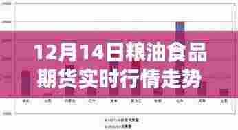 跃动粮油市场,掌握期货行情,成就梦想之路——12月14日粮油食品期货实时行情解析