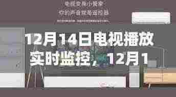 12月14日电视实时监控播放,利弊分析与个人观点探讨