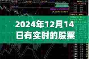 探秘小巷深处的宝藏，特色小店的股票故事与实时股票信息揭秘