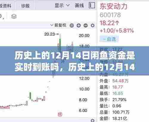 揭秘历史上的十二月十四日闲鱼资金结算,实时到账真相大揭秘