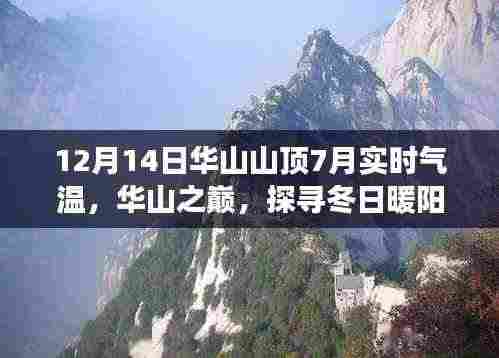 华山冬日暖阳美食探寻,山顶隐秘美食天堂与特色小店揭秘
