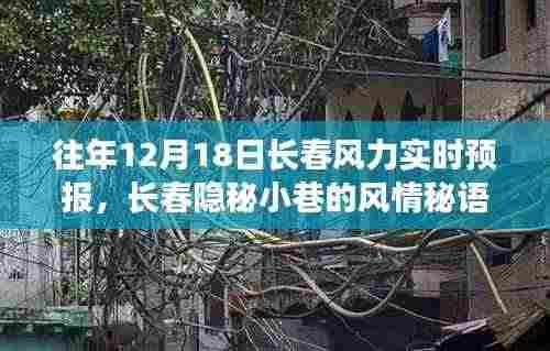 长春隐秘小巷的风情探秘,特色小店的风力预报下的惊喜之旅,往年12月18日的风力实时预报解析