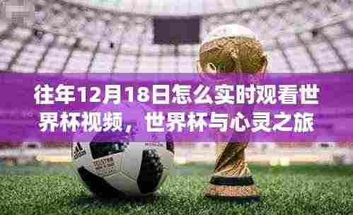 往年世界杯决赛日,拥抱自然美景,实时感受足球与心灵之旅的魅力