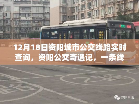 资阳公交奇遇记,温情陪伴的时光——12月18日资阳城市公交线路实时查询