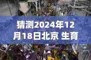 探秘北京生育实时结算特色小店,孕育新生之秘密之旅(2024年12月18日)