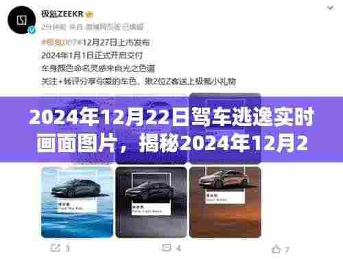 揭秘，驾车逃逸实时追踪画面——科技与监控的艺术展现（附图片）