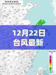 浙江遭遇猛烈台风袭击,最新实时动态与深远影响(12月22日更新)