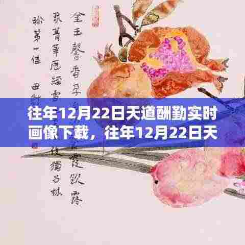 往年12月22日天道酬勤实时画像，勤奋塑造辉煌瞬间