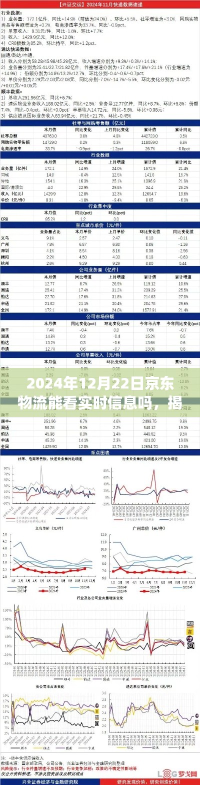 揭秘京东物流未来实时追踪功能，能否洞悉物流每一步动态至2024年12月22日？