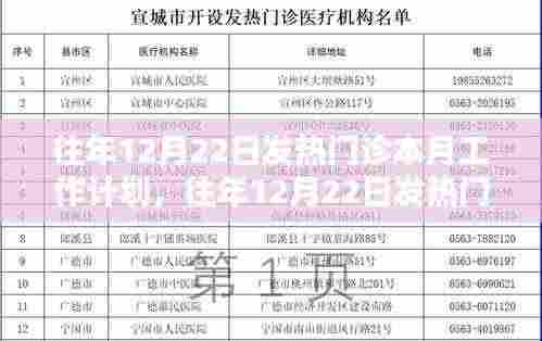 往年12月22日发热门诊本月工作规划与策略分析,观点阐述及实施计划