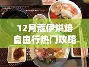 独家揭秘，12月蔻伊烘焙自由行终极攻略，深度评测与详细介绍