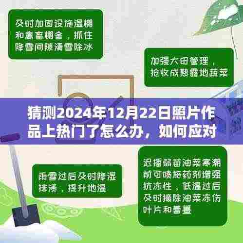 如何应对摄影作品在特定日期(2024年12月22日)走红,策略与建议