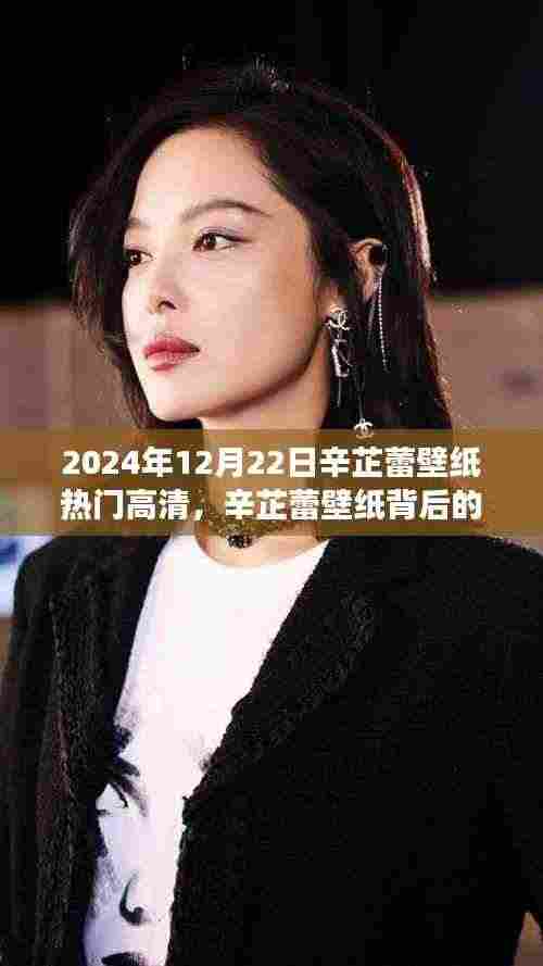 辛芷蕾壁纸背后的温馨日常,爱的传递与陪伴的奇妙旅程(高清版)