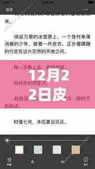 揭秘皮皮热门小说背后的故事，神秘书屋与奇遇之旅的12月22日揭秘