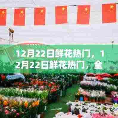 12月22日鲜花热门，全面评测与深度解析