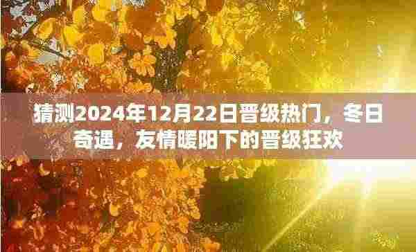 友情暖阳下的冬日奇遇,晋级狂欢倒计时开启,预测2024年12月22日热门时刻