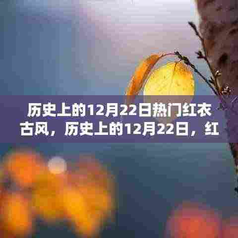 历史上的红衣古韵璀璨时刻，12月22日的璀璨记忆🌟