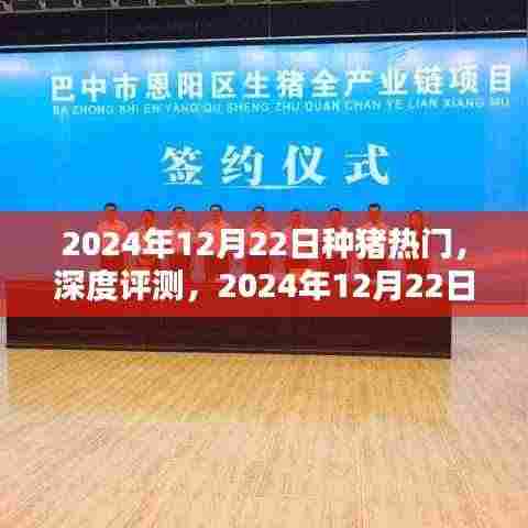 深度评测,揭秘2024年种猪市场热门产品特性与使用体验