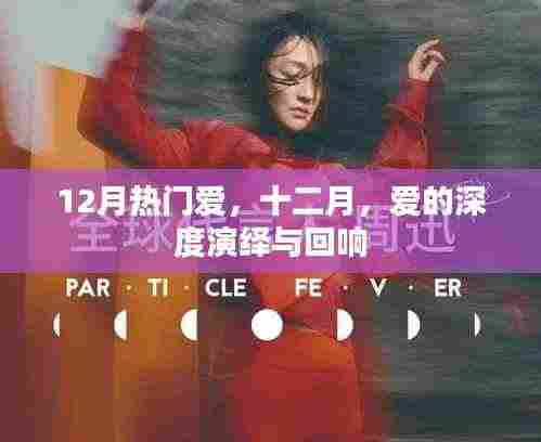 十二月爱的深度演绎与回响，爱的回响在冬季绽放