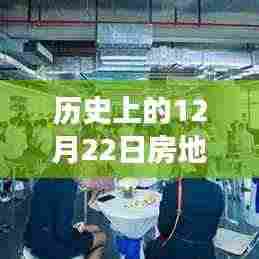 揭秘历史房地产风云，深度解析与观点碰撞——历史上的房地产风云变迁在12月22日这一天揭晓