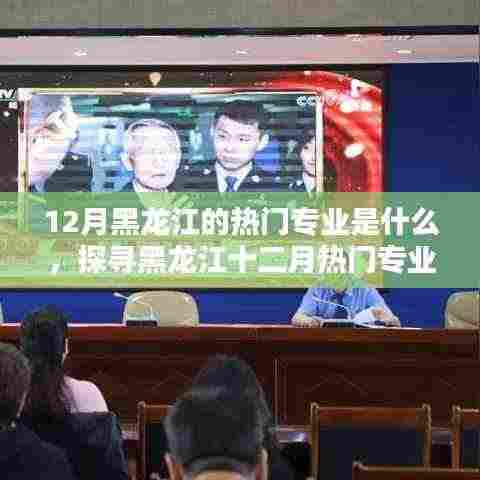 探寻黑龙江十二月热门专业与小街巷中的隐藏瑰宝
