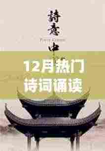 十二月诗词诵读特色小店，深巷中的诗意栖息