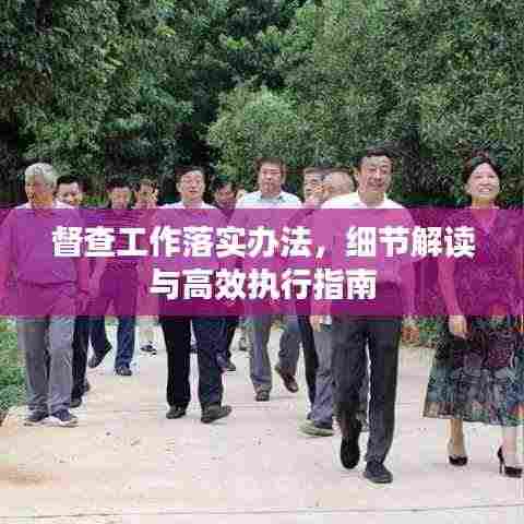 督查工作落实办法,细节解读与高效执行指南