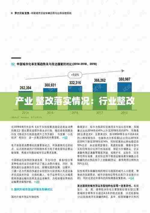 产业 整改落实情况：行业整改 