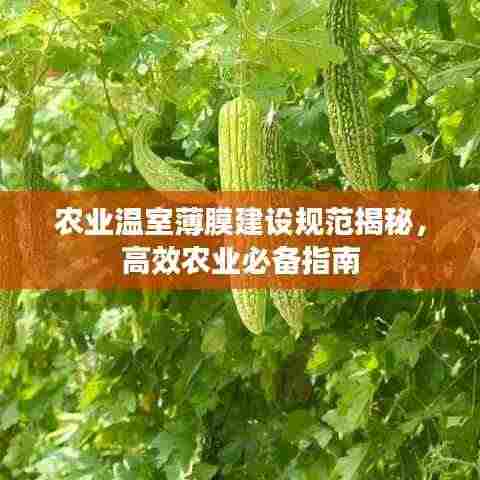 农业温室薄膜建设规范揭秘，高效农业必备指南