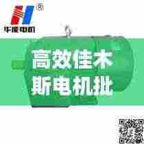 高效佳木斯电机批量定制，开启电机制造新纪元