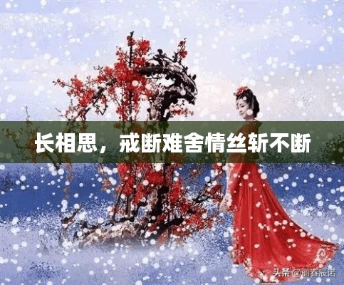 长相思,戒断难舍情丝斩不断