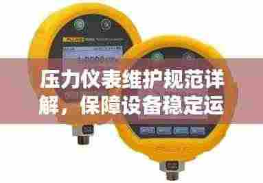 压力仪表维护规范详解，保障设备稳定运行的关键步骤